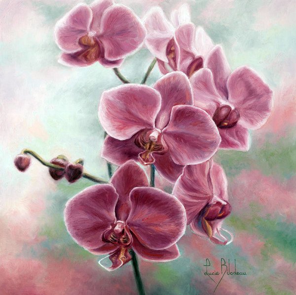 Орхидеи пастелью
