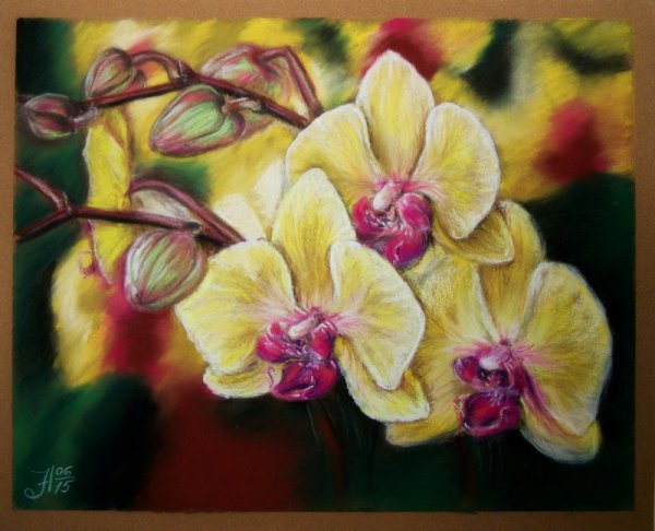 Орхидеи пастелью