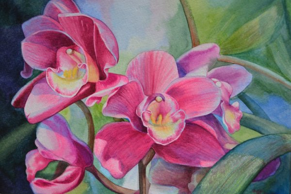 Орхидея красками