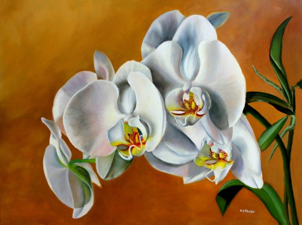 Орхидея картина акрилом