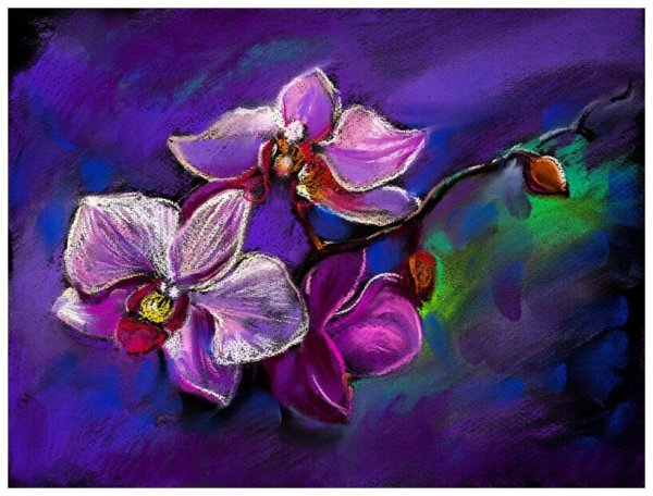 Орхидеи пастелью