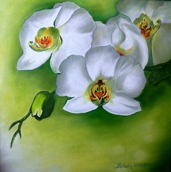 Орхидеи акрилом на холсте