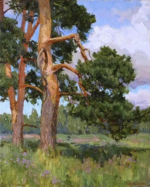 Сосна" картина Пантелеева Сергея