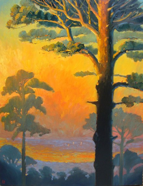 Сосны на закате живопись