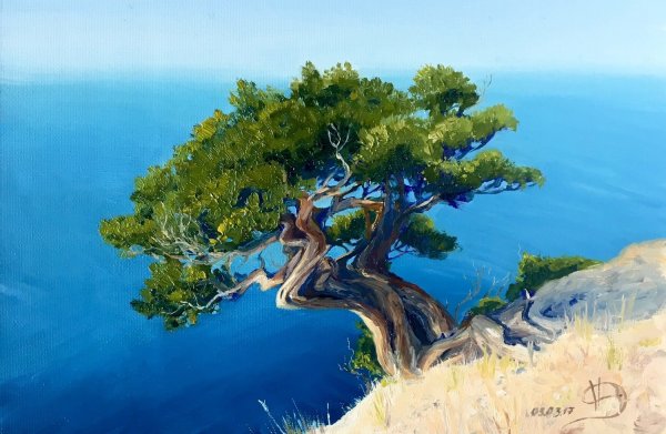 Можжевельник в Крыму нарисовать