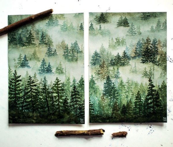 Хвойный лес акварелью