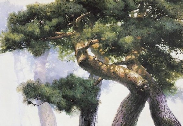 Сосна акварелью