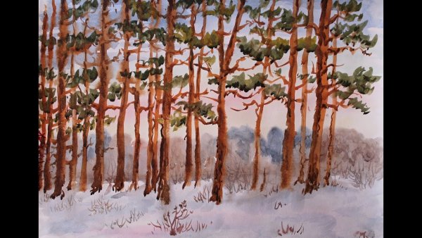 Сосна акрилом