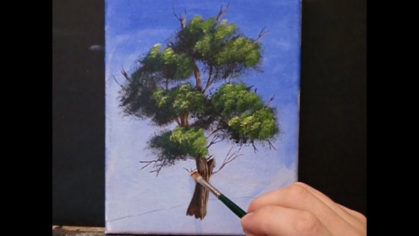 Реалистичные деревья гуашью