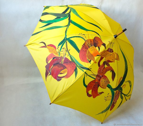Разрисованные зонты