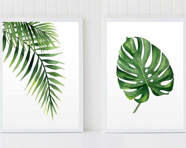 Акварельные листья пальмы