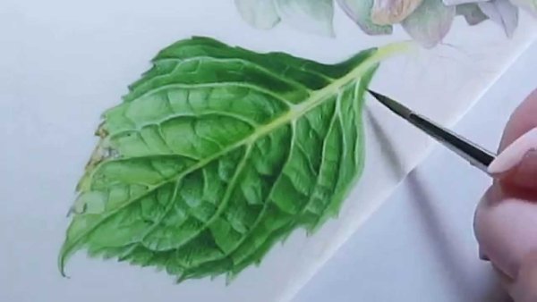 Листы с натуры рисунок