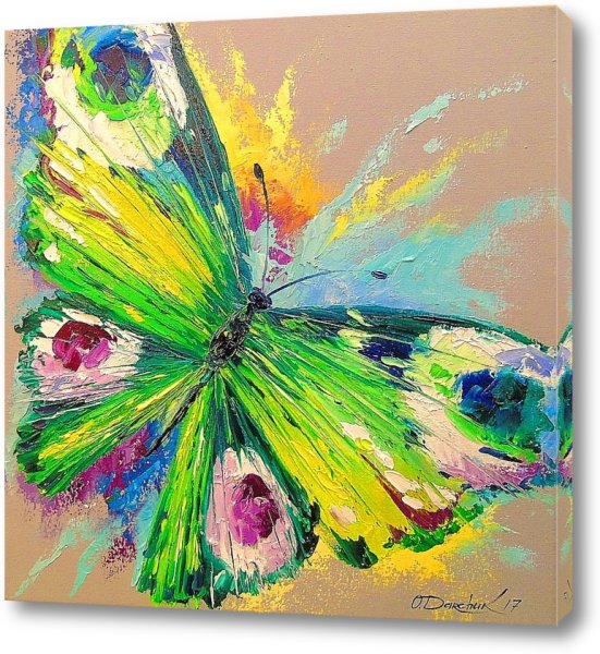 Бабочка яркая масло