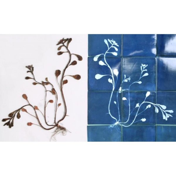 Трафареты для кафельной плитки в ванной своими