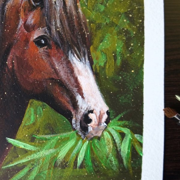 Картины акрилом лошади