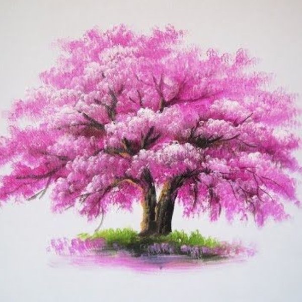Дерево Сакуры красками