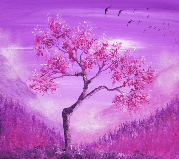 Ann Marie Bone Сакура