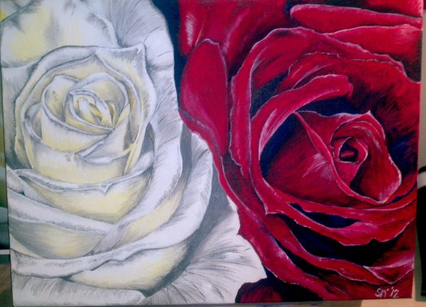 Красная роза гуашью