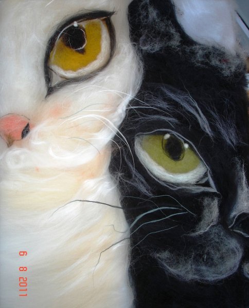 Кошка акрилом