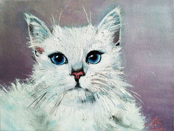 Белый кот картина маслом