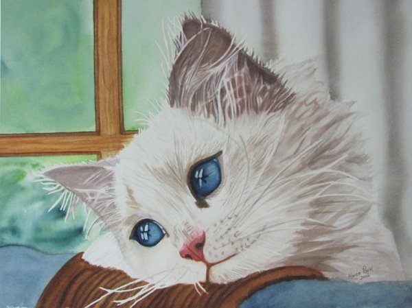 Белая кошка акрилом