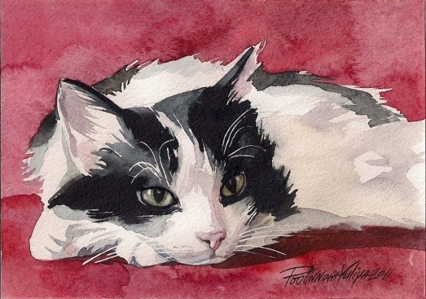 Акварельные котики