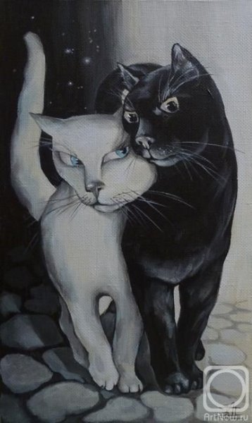 Чёрный кот и белая кошка арт