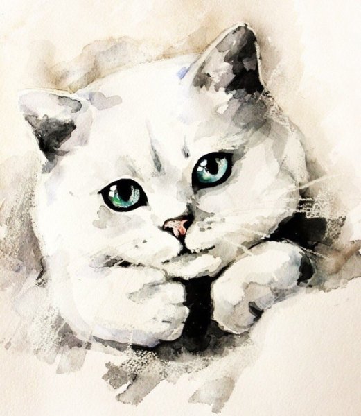 Акварель морда кота