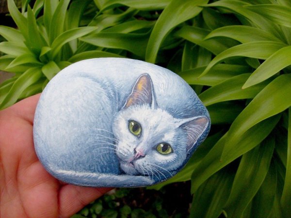 Кошки на гальке