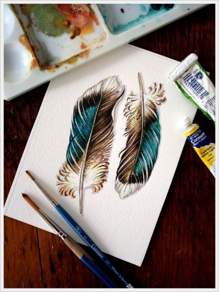 Перо для рисования