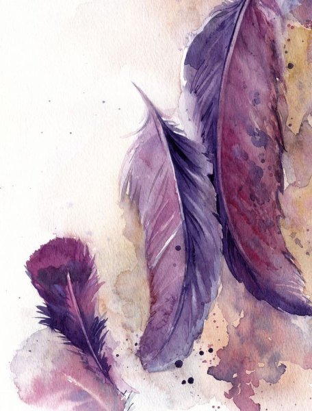 Перо живопись