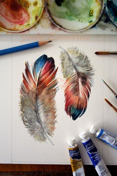 Перо красками