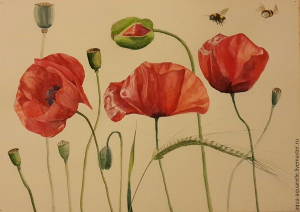 Трейси Ченг картины маки