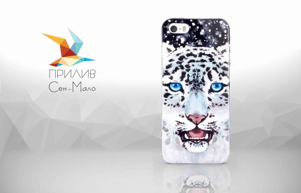 Рисунок на чехол для телефона акриловыми красками