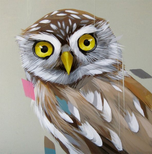 Сова акрилом