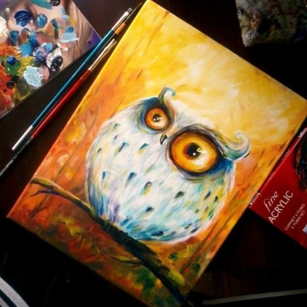 Мастер класс по рисованию Совы