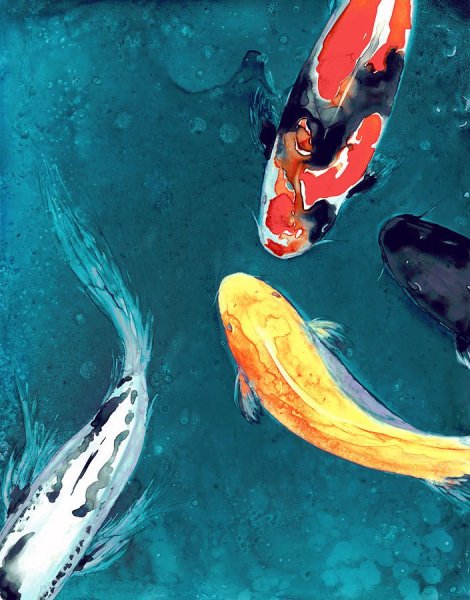 Рыбы кои картина