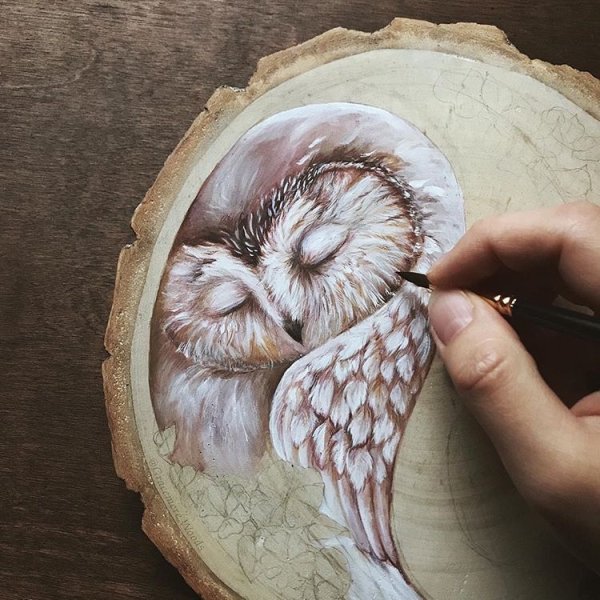 Рисование на спиле дерева акрилом