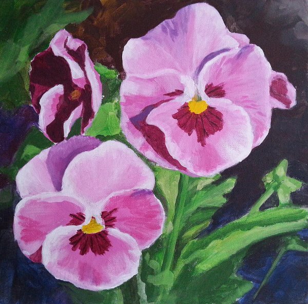 Royal Albert Анютины глазки