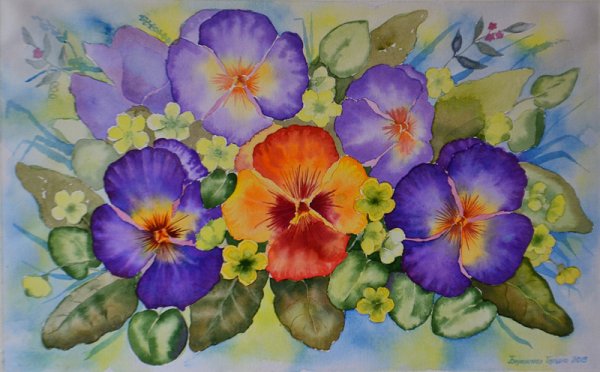 Анютины глазки цветы акварель