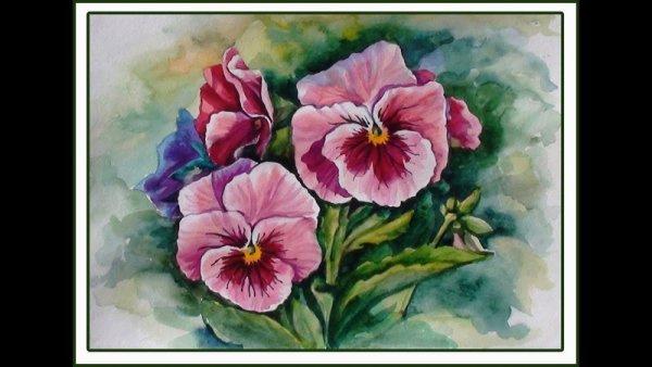 Антон Моллис Анютины глазки