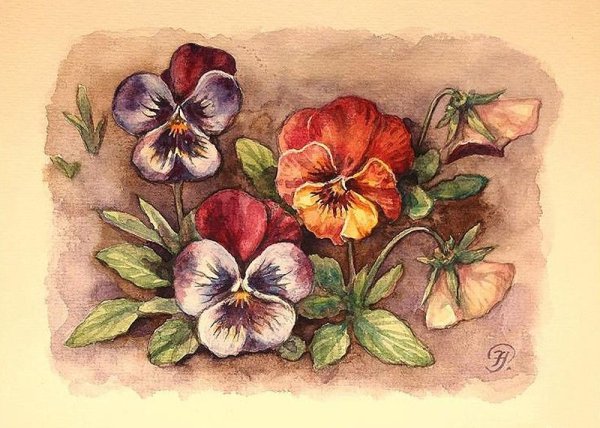 Анютины глазки живопись акрил