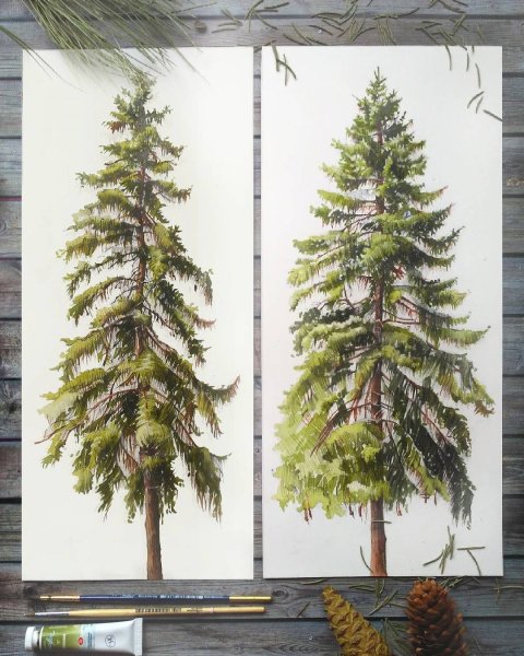 Художник Евгения Щеглова деревья