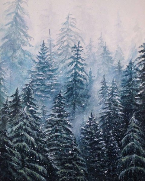 Еловый лес акварель