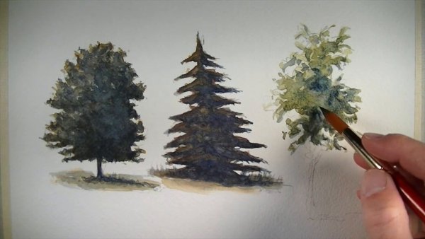 Деревья акварелью поэтапно