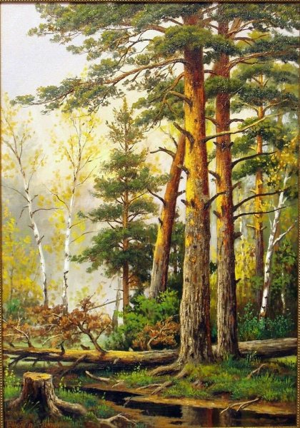 Владимир Княгницкий. Пейзажи