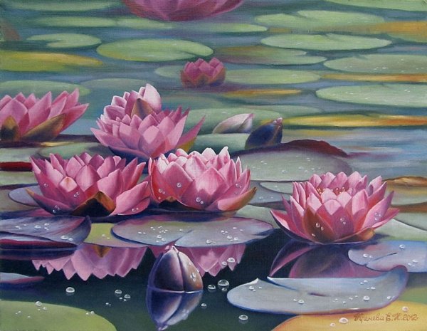 Нимфея Озерная