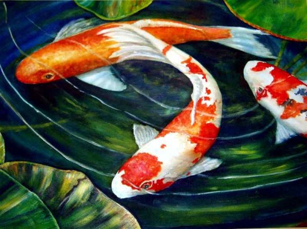 Карпы кои и кувшинки живопись