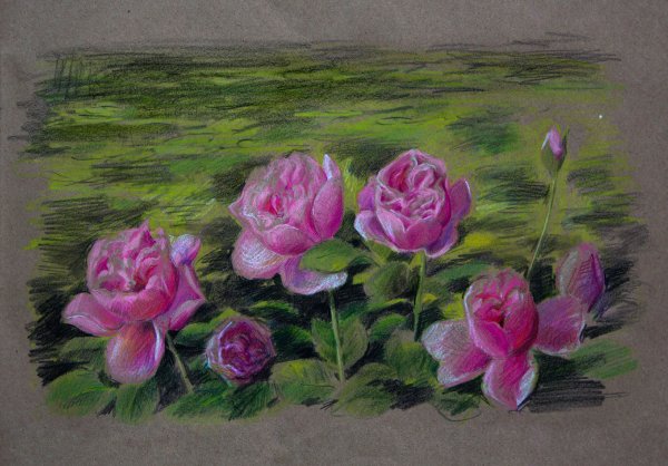 Розы масляной пастелью