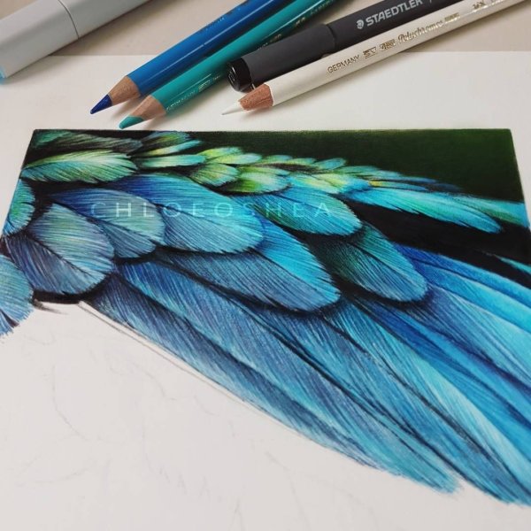 Перо для рисования